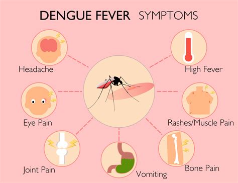dengue fever symptoms in women